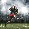 footballsheet14.jpg
